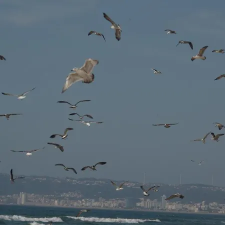 Σπίτι διακοπών Casa Com Acesso Direto A Praia E Churrasqueira *